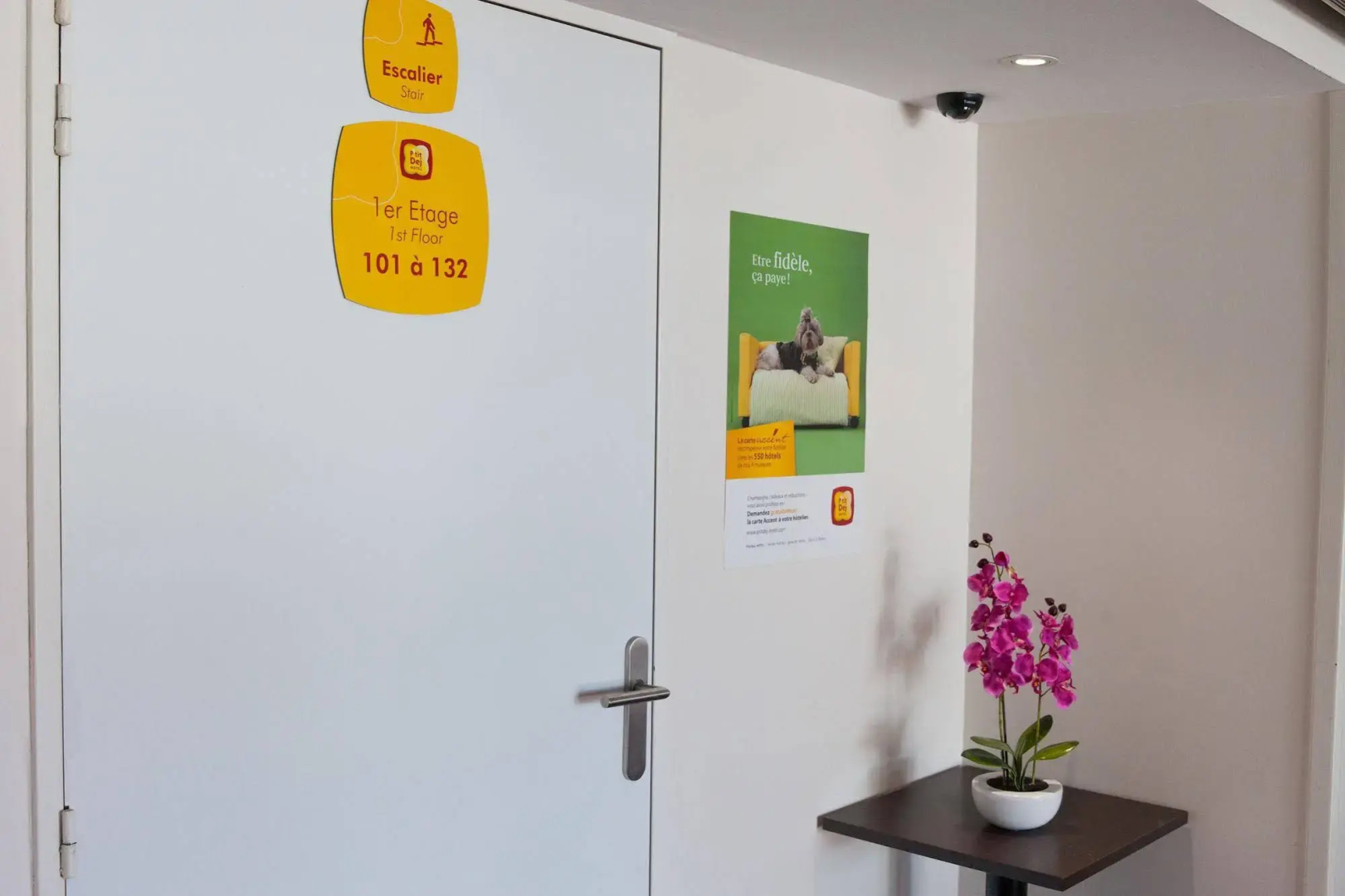 Photo - The Originals Access, Hôtel Bordeaux Lac
