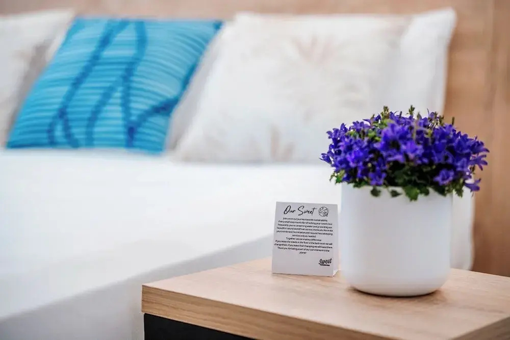 Photo - Sweet Lloret Suites