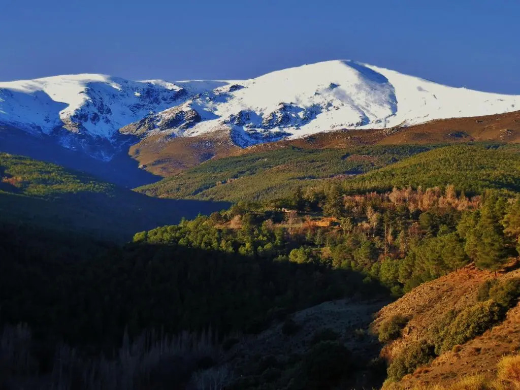 Foto - LABELLA - Hostal Rural Restaurante