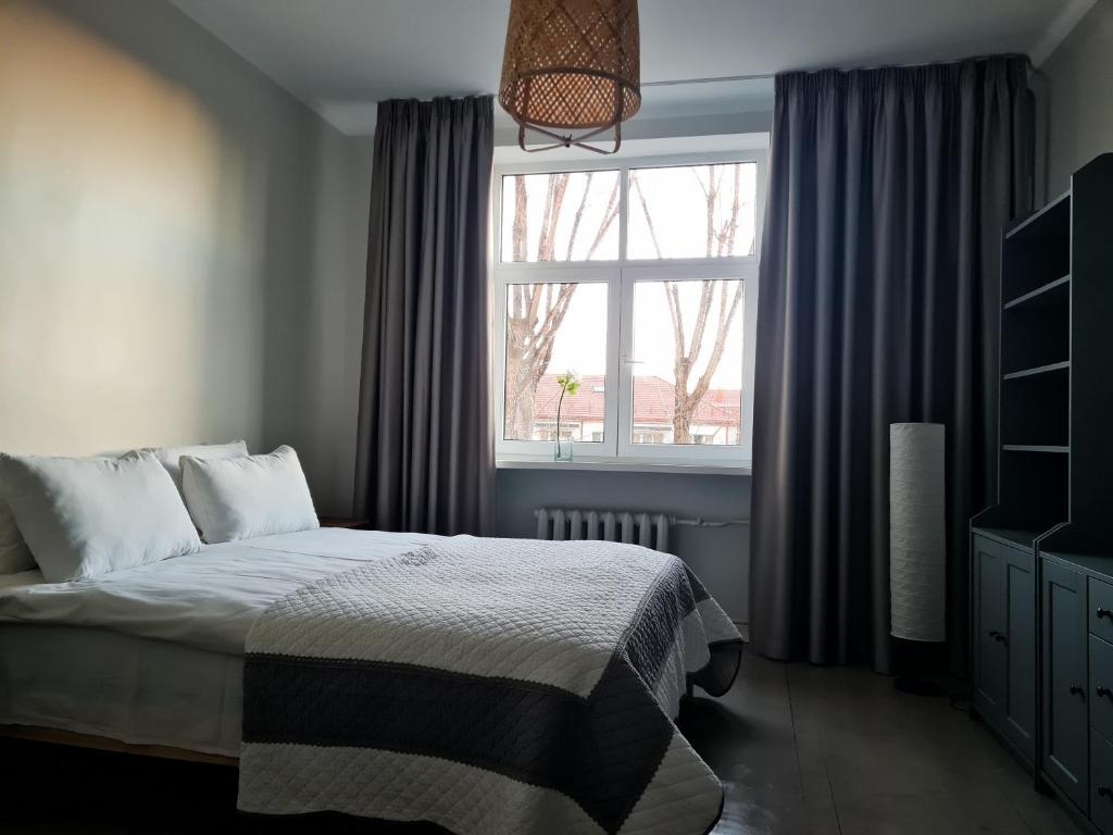 ReHouse Vokieciu str.9, 2 bedroom