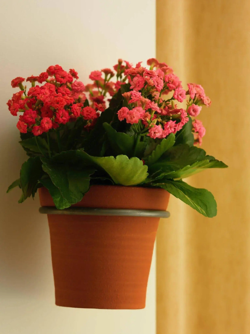 Foto - St Martins Lane London