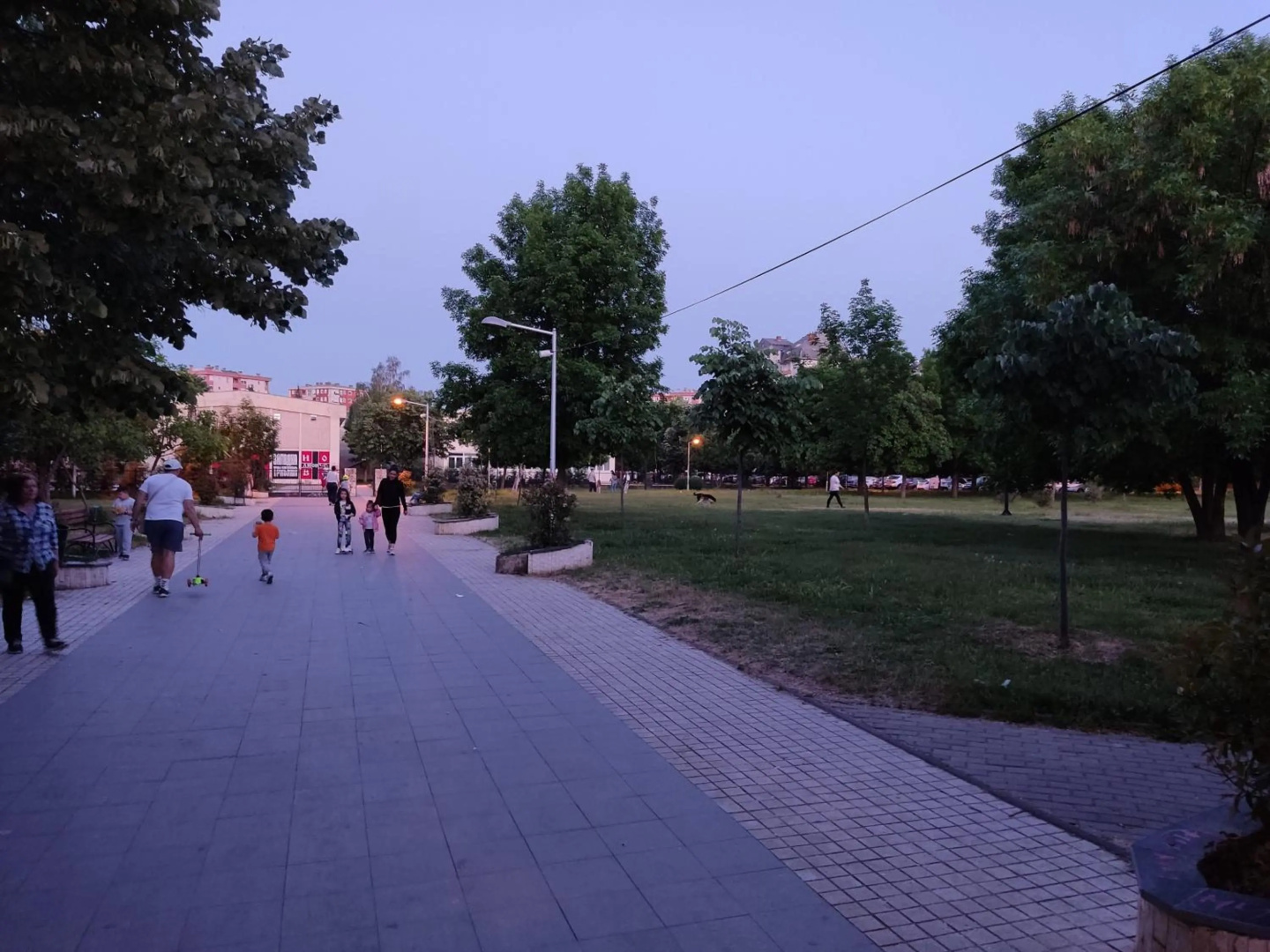 Zozi urban studio