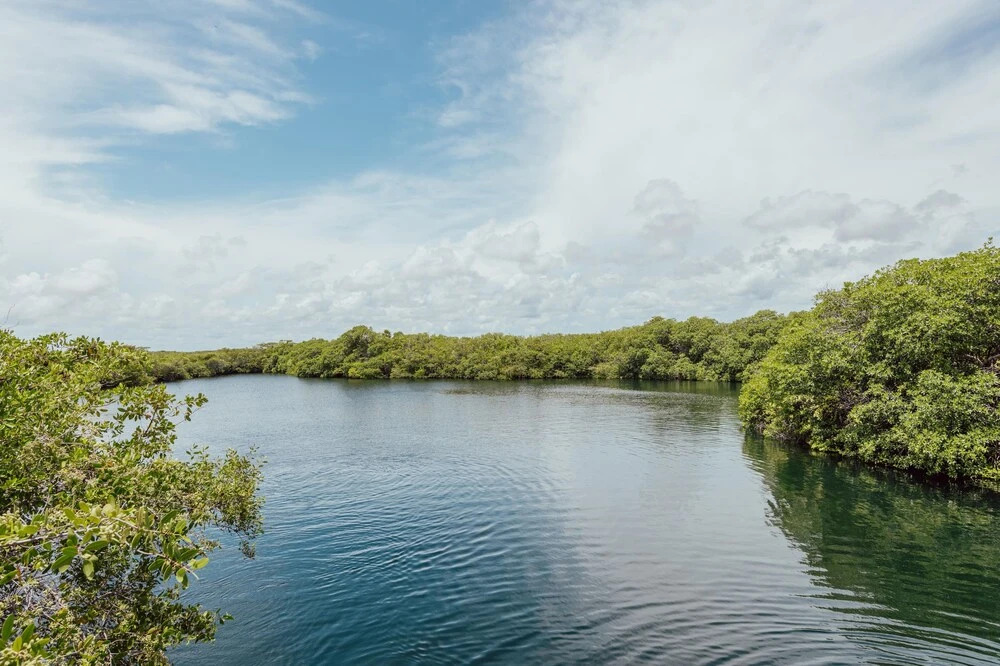 Photo - Yaxchen Tulum Cabañas & Cenote
