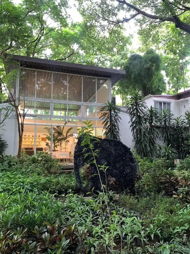 Foto - Cochet