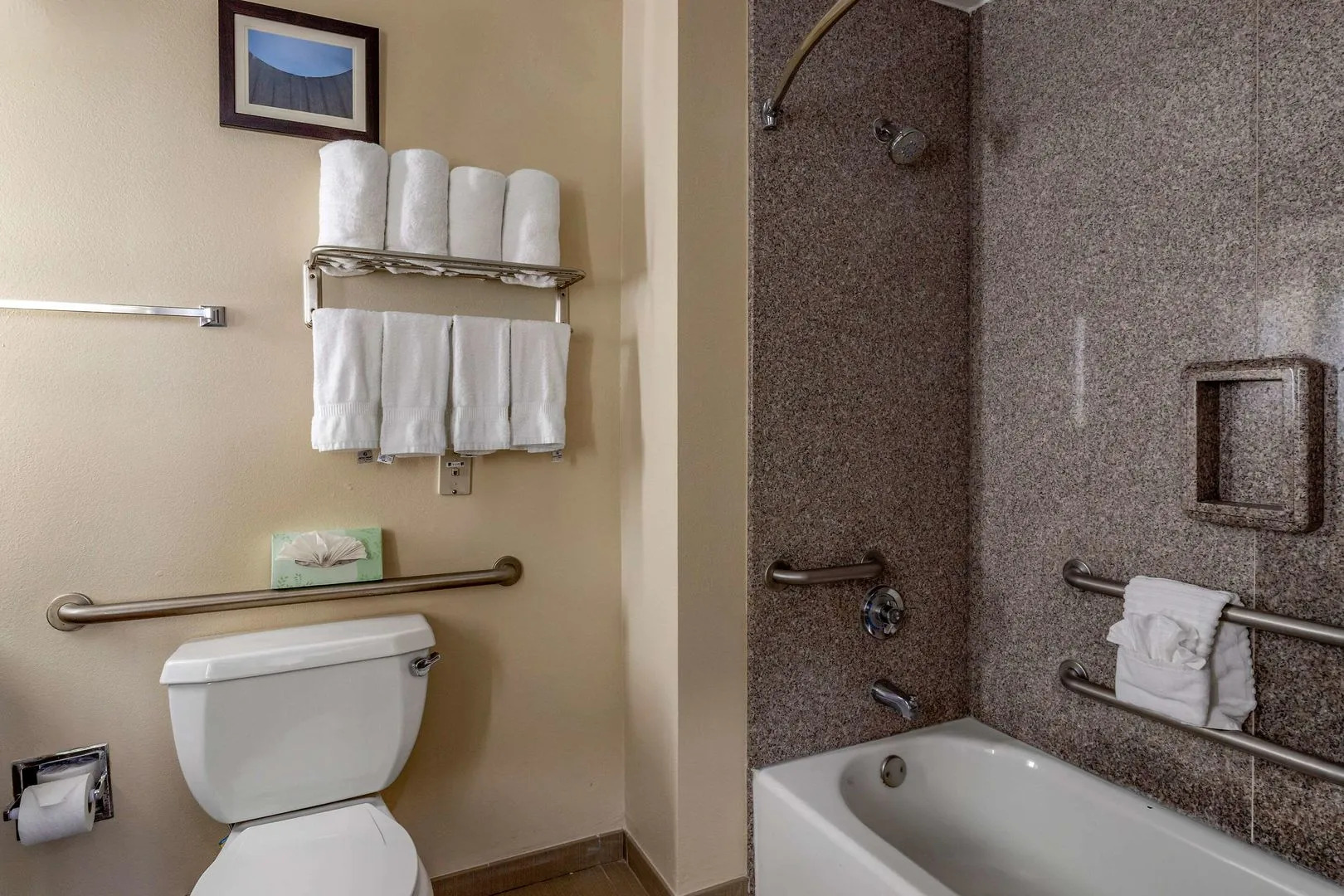 Photo - Comfort Suites Houston near Medical Center- NRG Stadium