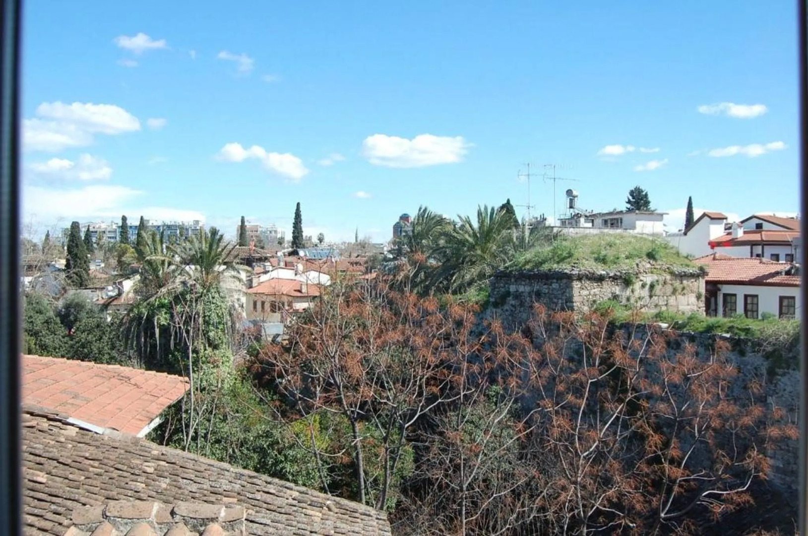 Photo - Villa Tulipan