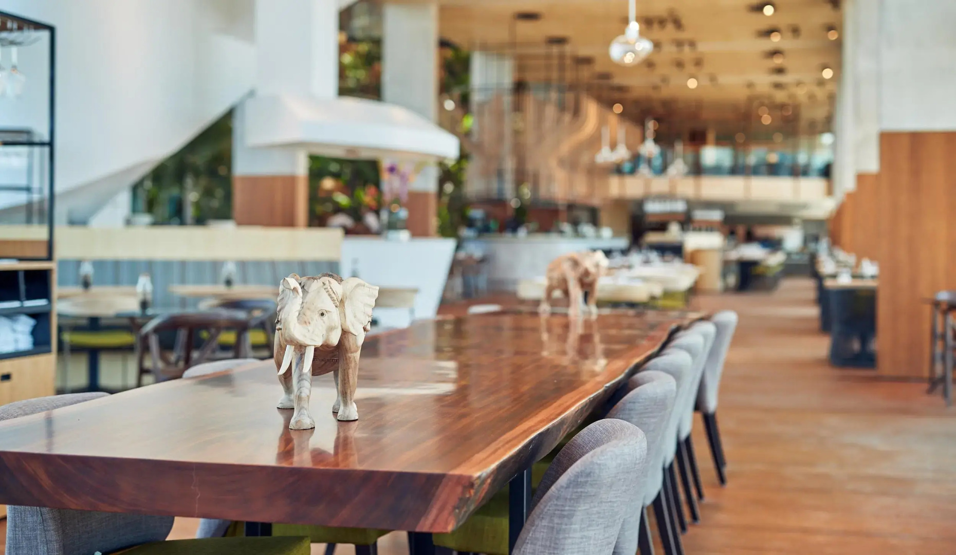 Foto - Hotel Jakarta Amsterdam