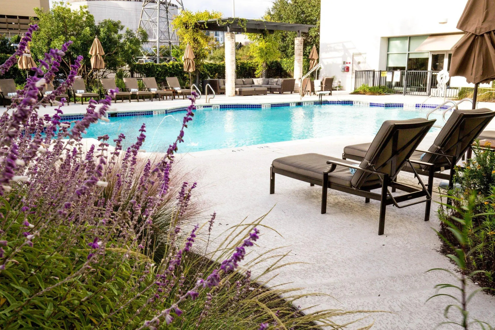 Foto - The Westin Austin at The Domain