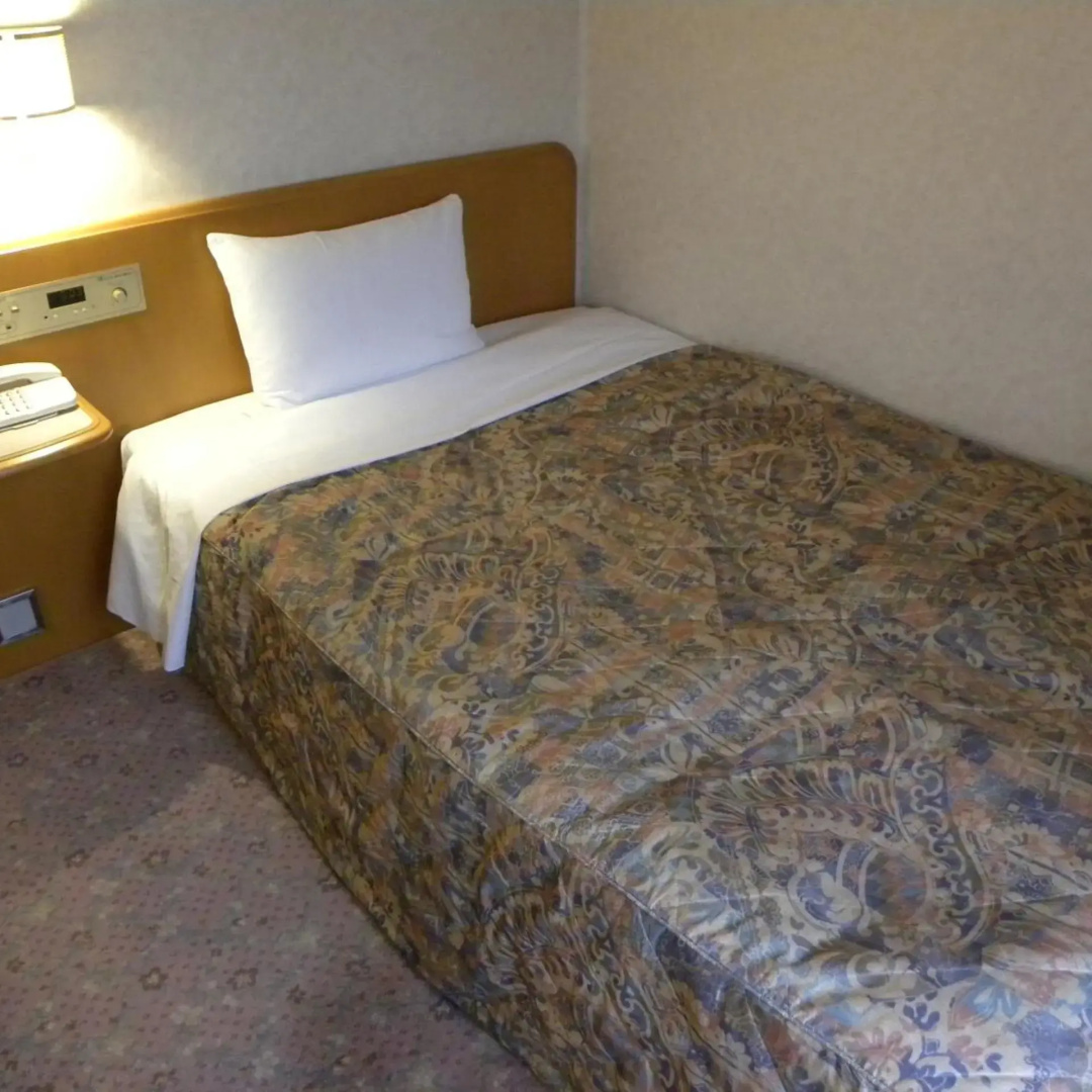 Foto - Hotel New Green Okachimachi