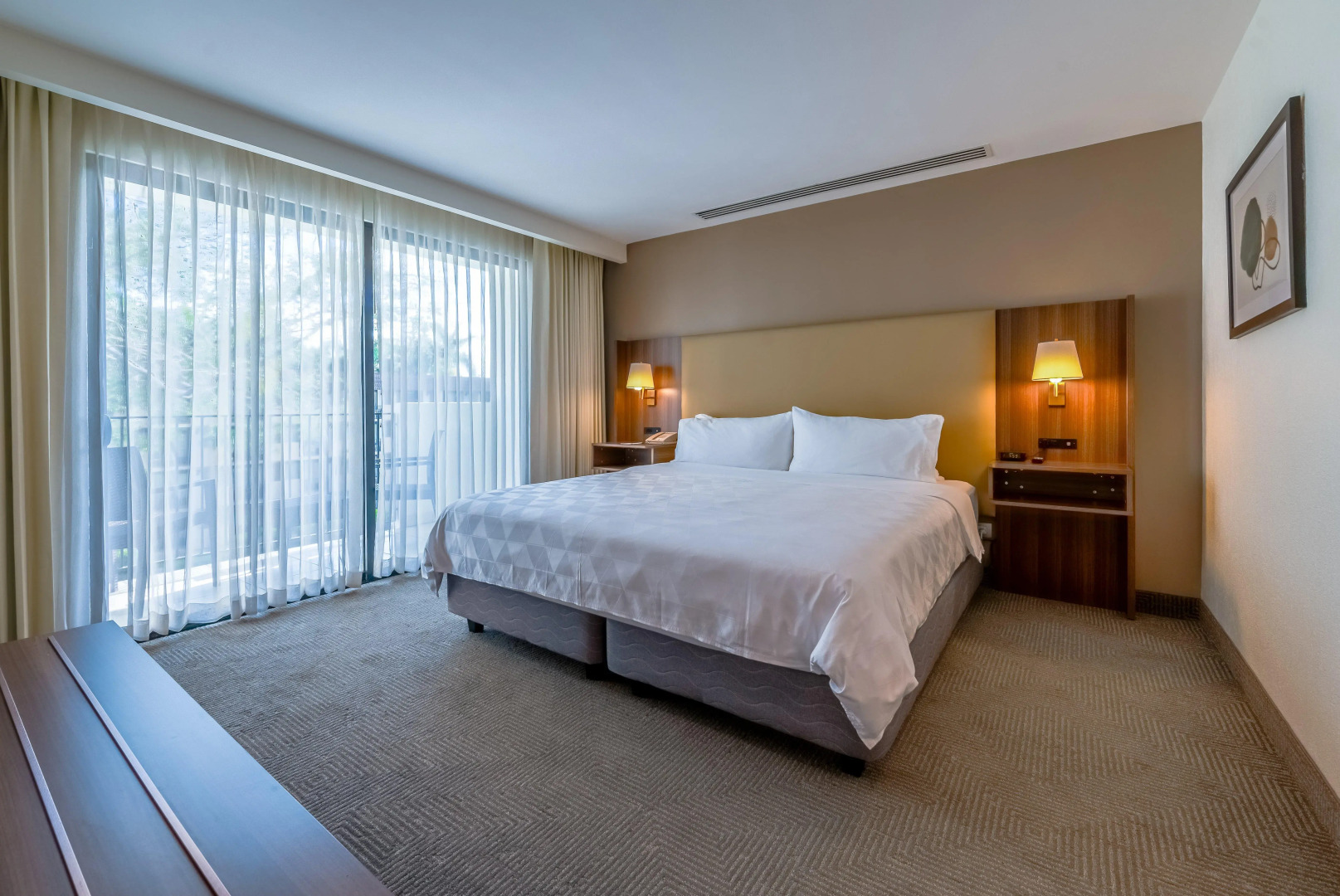 Foto - Holiday Inn San Jose La Sabana by IHG