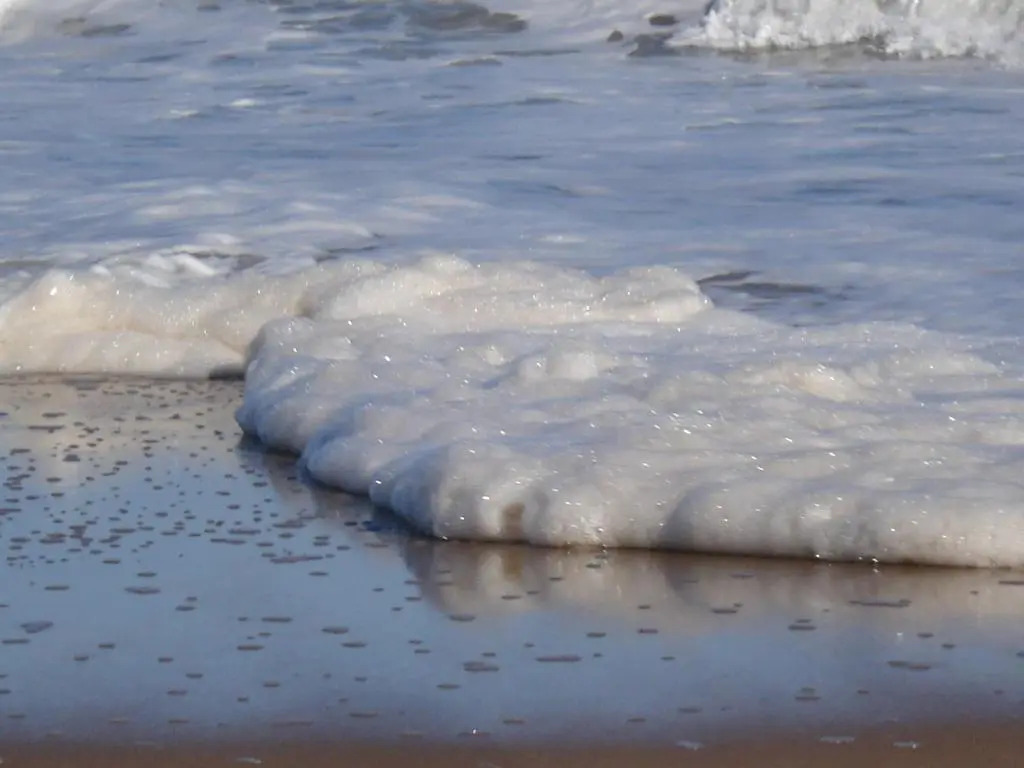 Foto - BDA Hotel & Spa