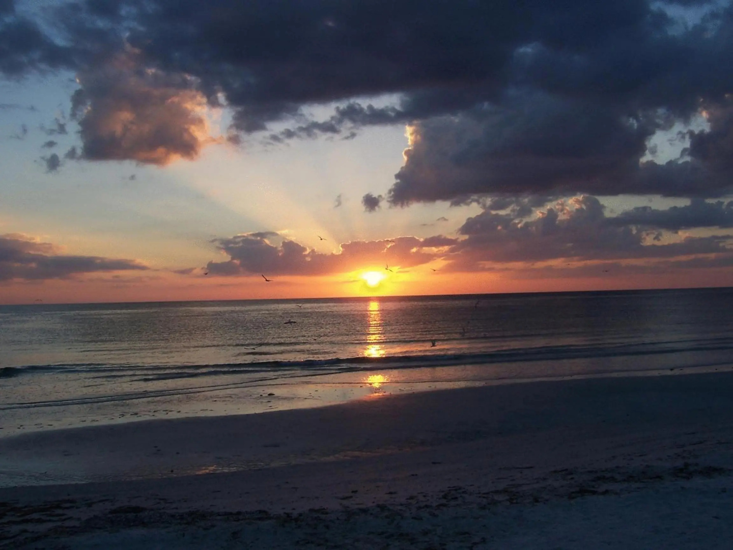 Foto - Tropical Beach Resorts