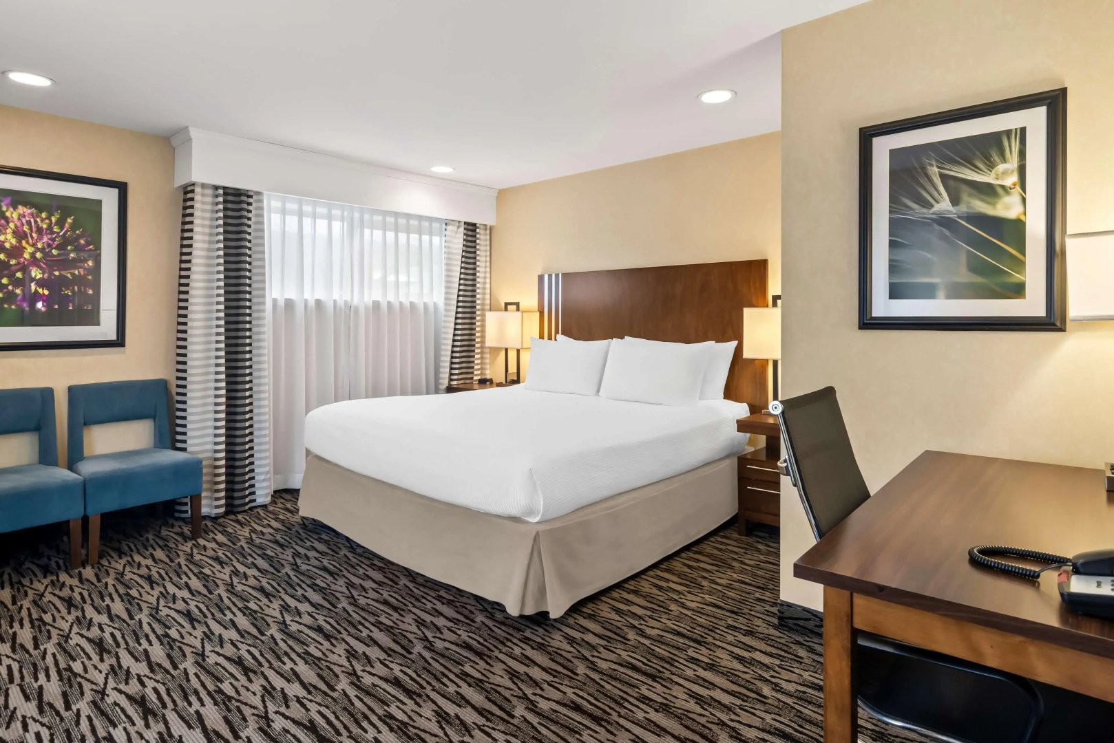 Photo - Best Western Plus Pitt Meadows Inn & Suites