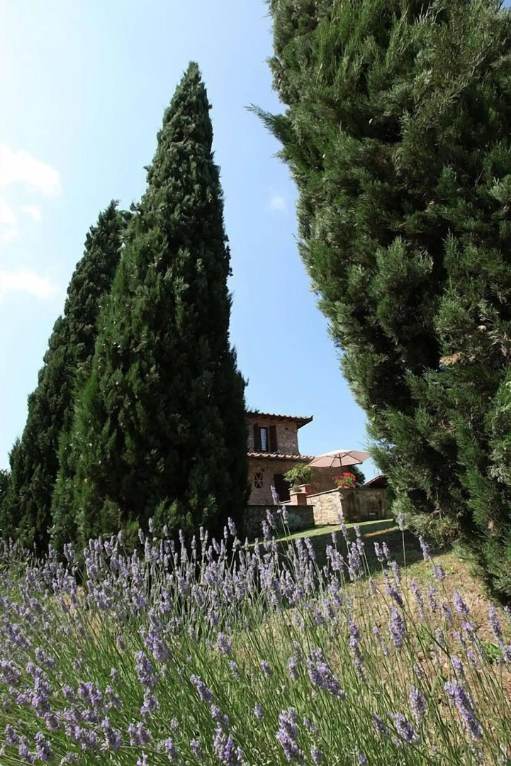 Foto - Agriturismo Casanova di Pescille