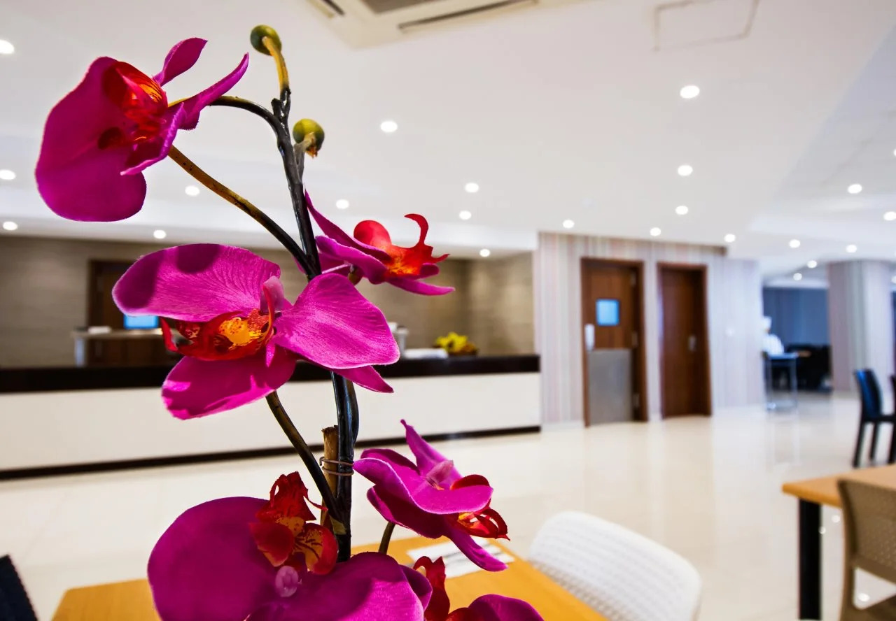 Foto - Blubay Apartments by ST Hotels