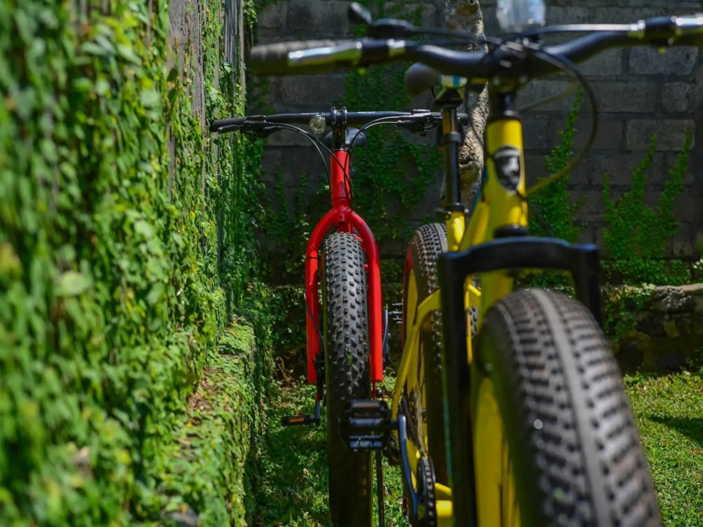 Photo - Griya Sriwedari