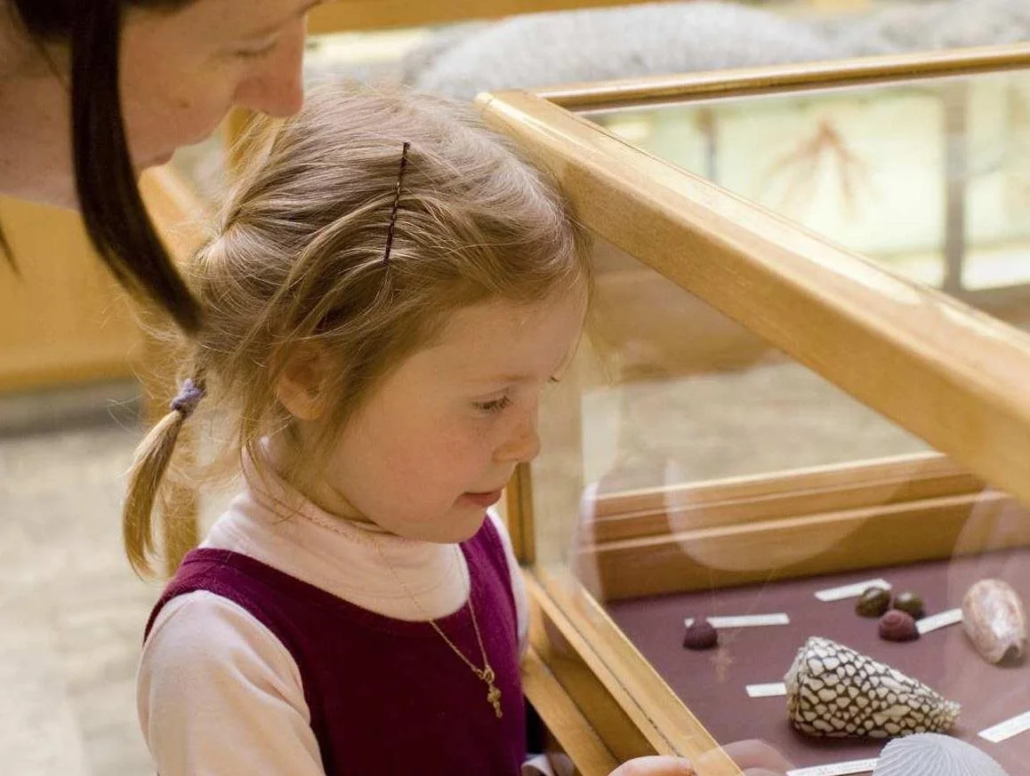 Photo - Hampton Inn Houston Hobby Airport