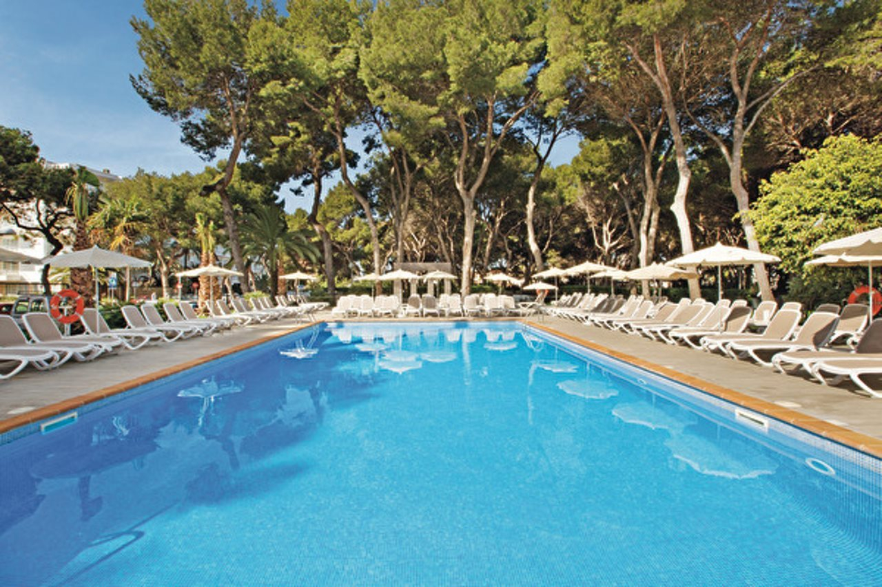 Foto - Hotel Riu Festival