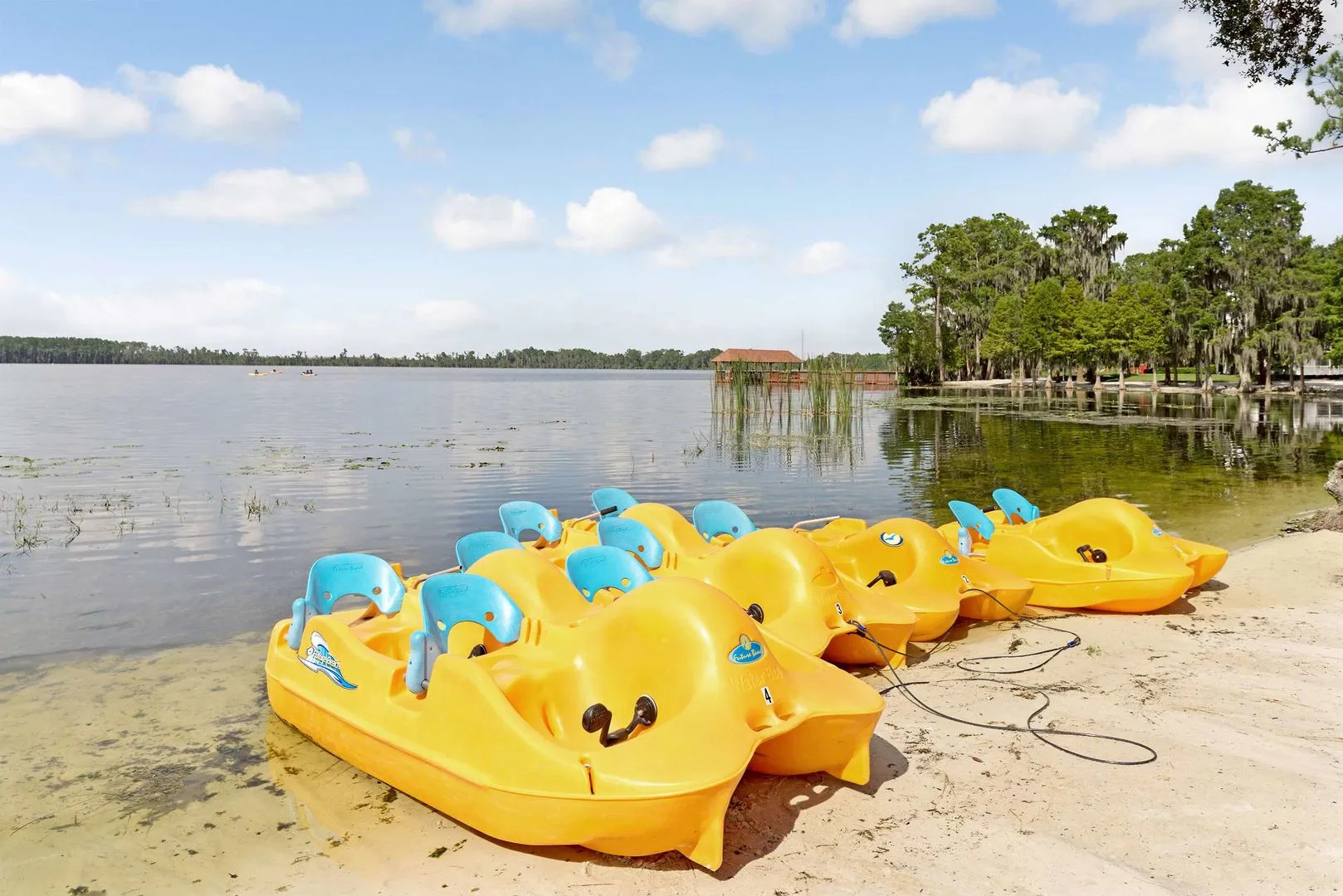 Photo - Hilton Vacation Club Grand Beach Orlando