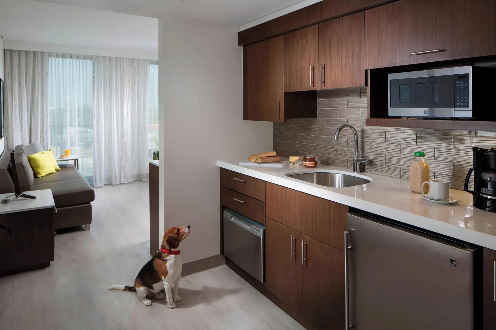 Photo - Residence Inn by Marriott Miami Beach South Beach