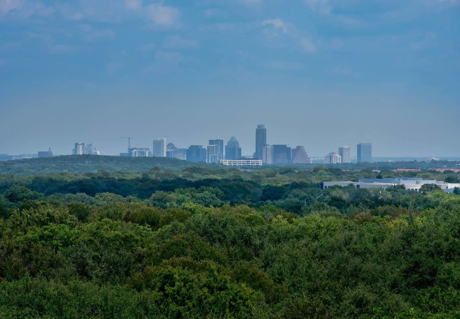 Foto - Residence Inn by Marriott Austin Southwest