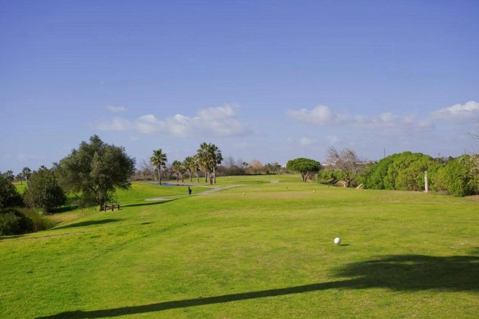 Foto - Bayside Salgados