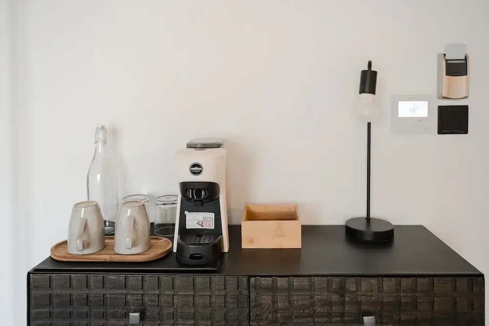 Foto - The Bear and Ween