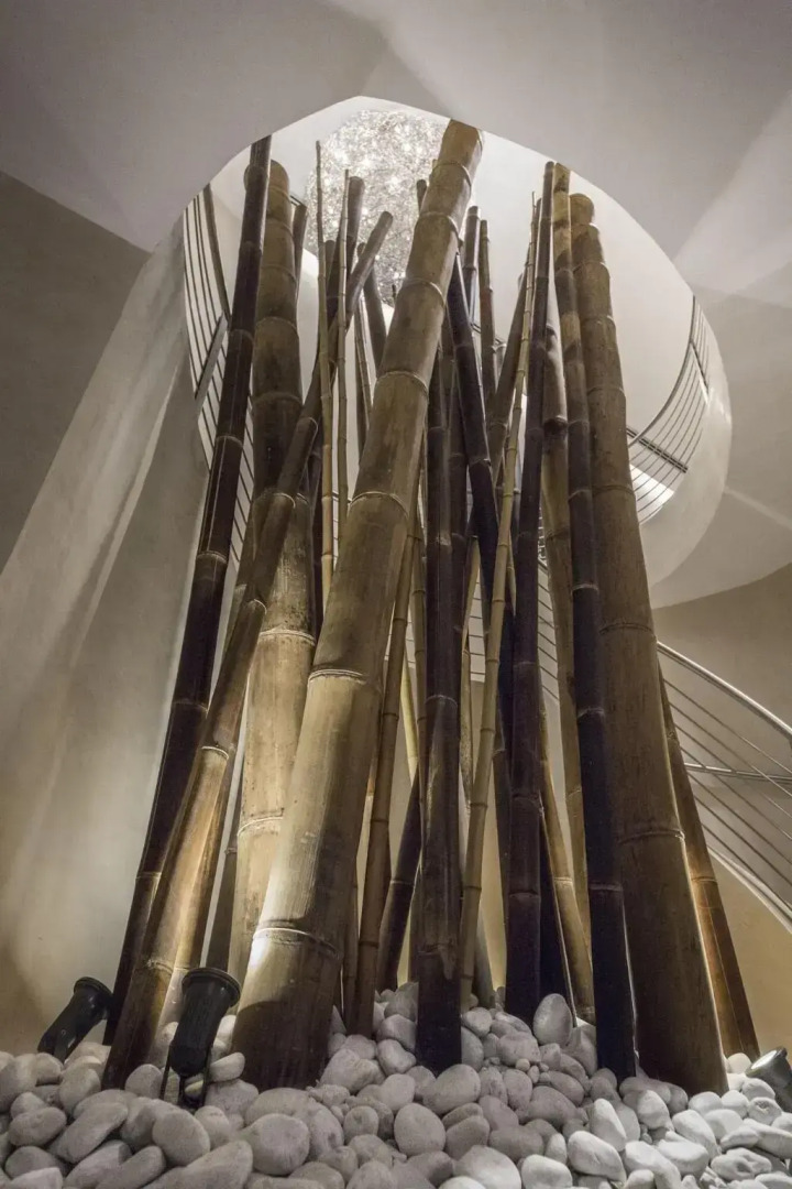 Foto - Hotel Regina Margherita