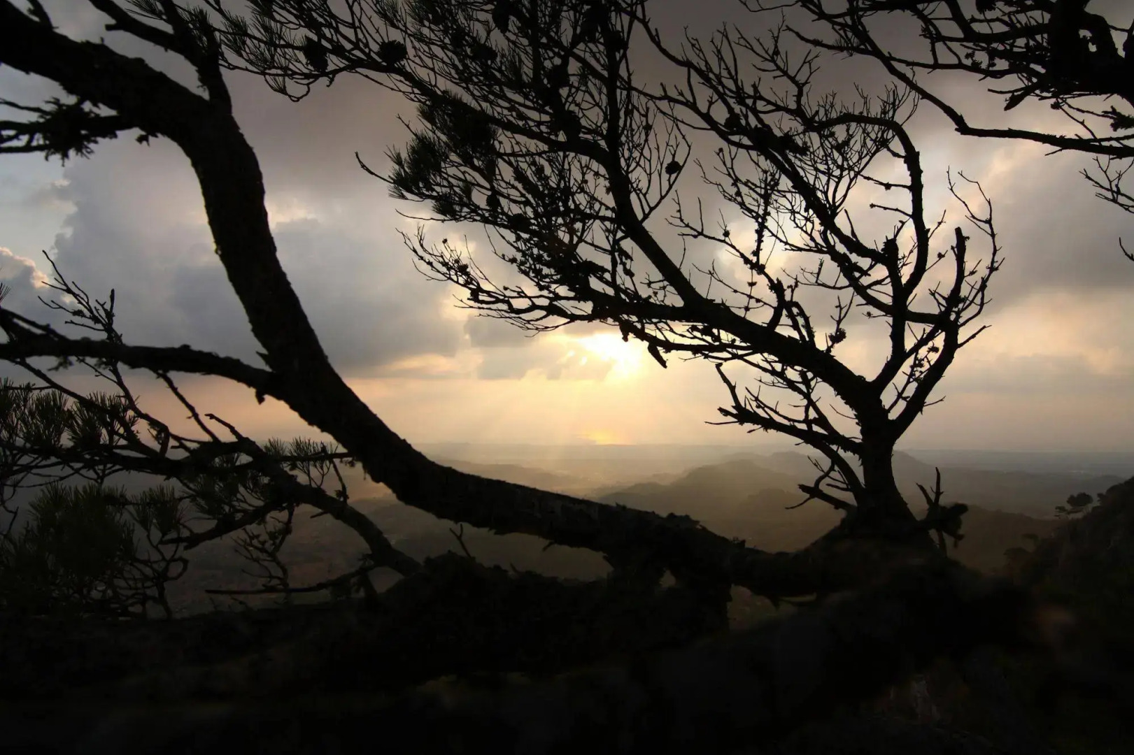 Foto - Petit Hotel Hostatgeria Sant Salvador