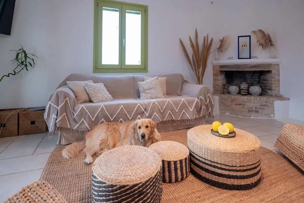 Foto - Ventu Paros Villa