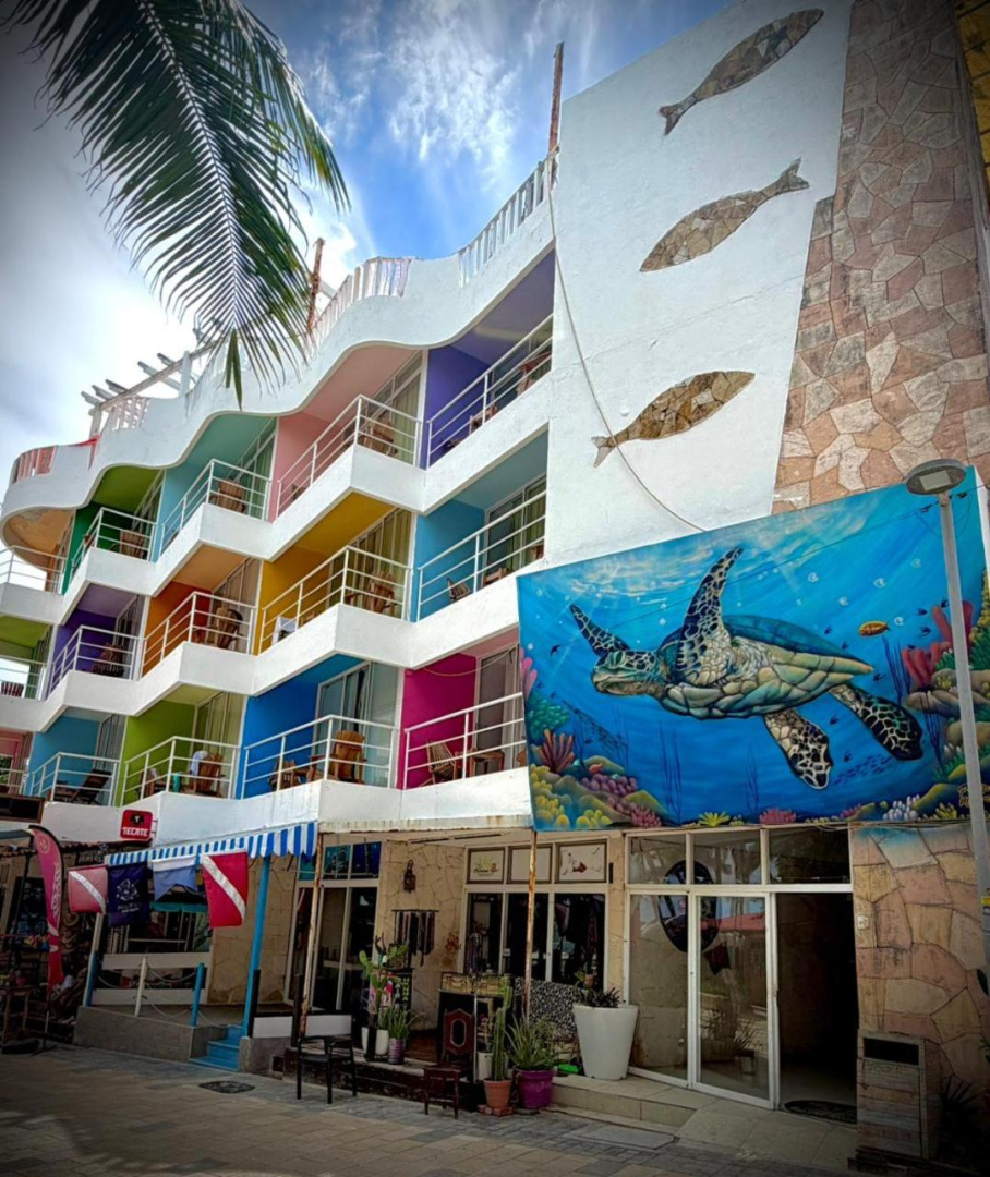 Foto - Kay Hotel
