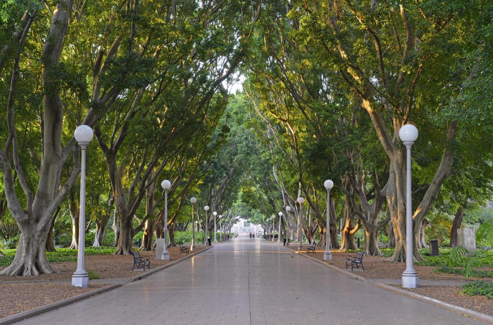 Foto - Nesuto Woolloomooloo