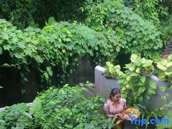 Foto - Sari Gong Guest House, A Trishula Collection