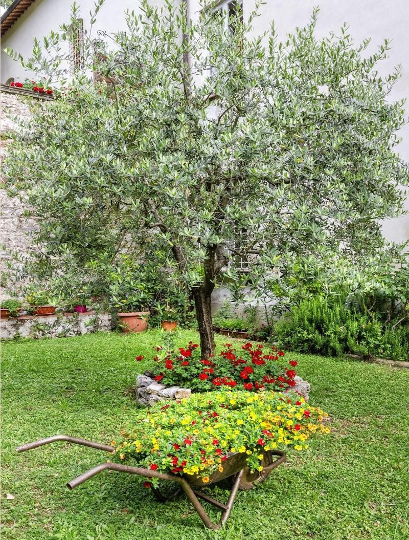 Foto - Casa Diocesana di Lucca