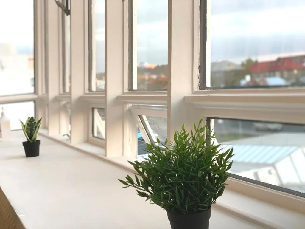 Foto - Baron's Hostel