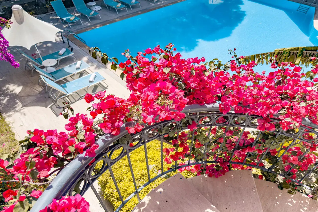 Photo - Moonshine Hotel & Suites