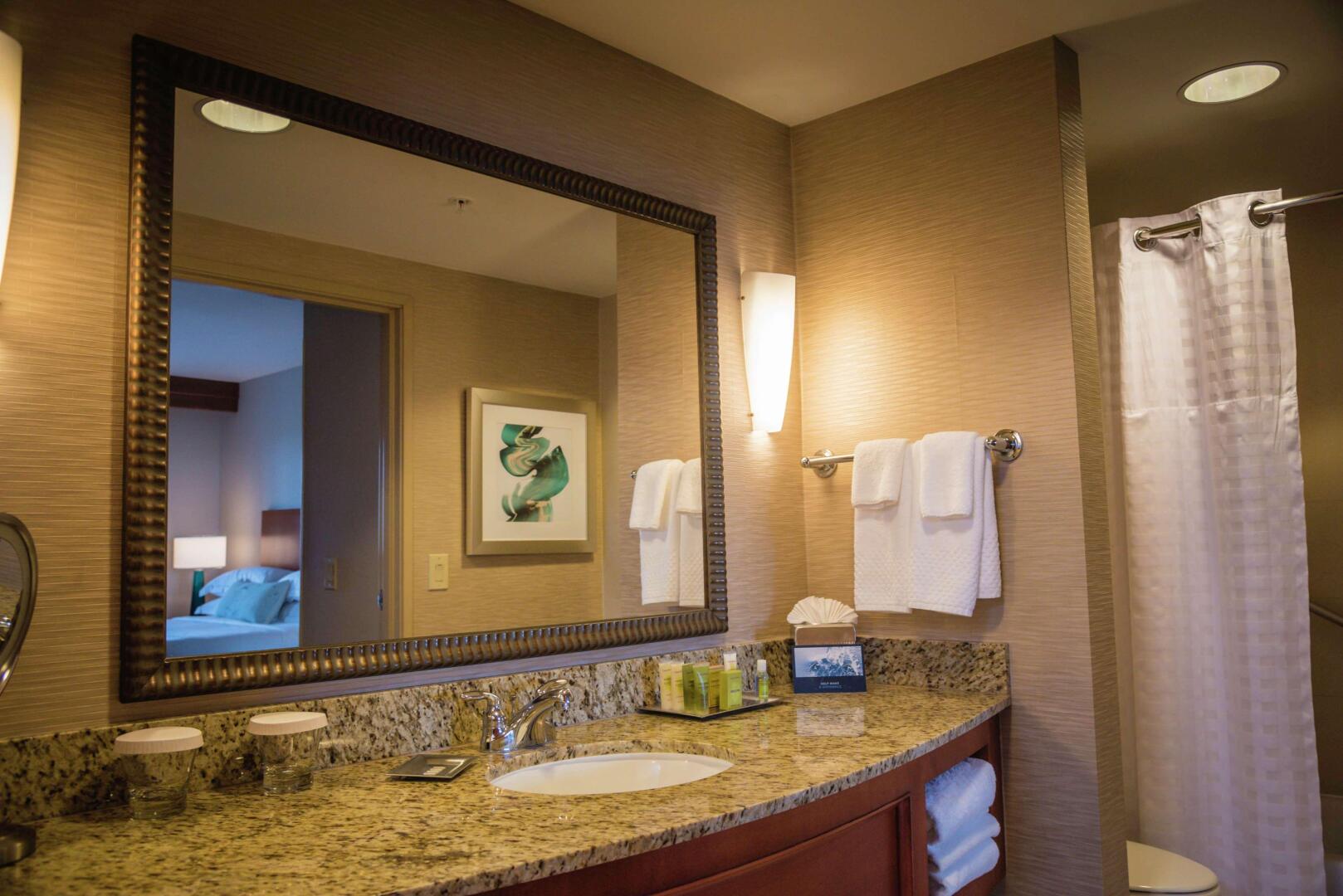 Foto - Hilton St. Petersburg Carillon Park