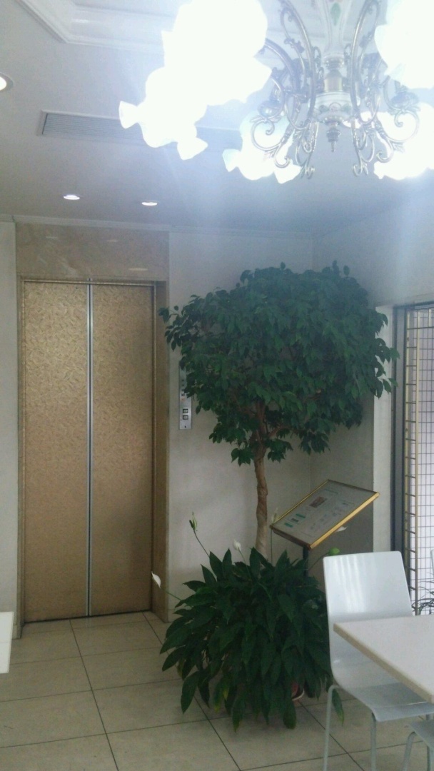 Santiago Hotel