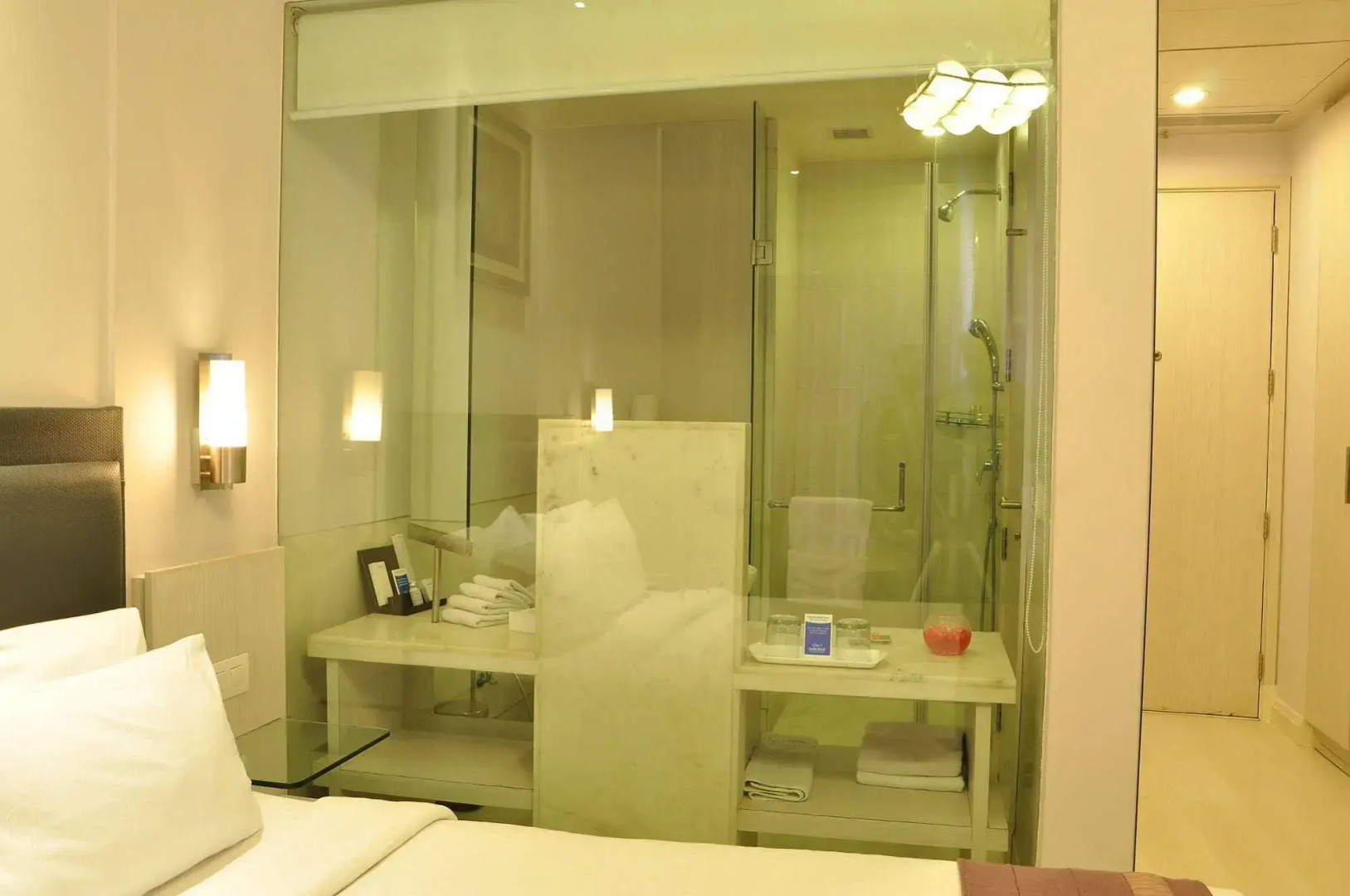 Foto - Sarovar Portico Naraina, Hotel