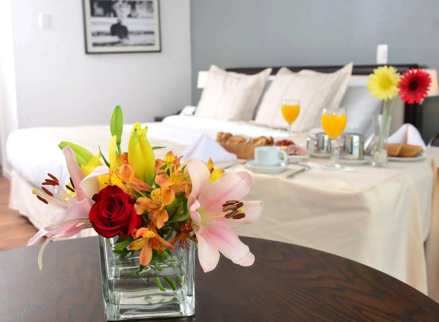 Photo - Radisson Hotel Colonia del Sacramento