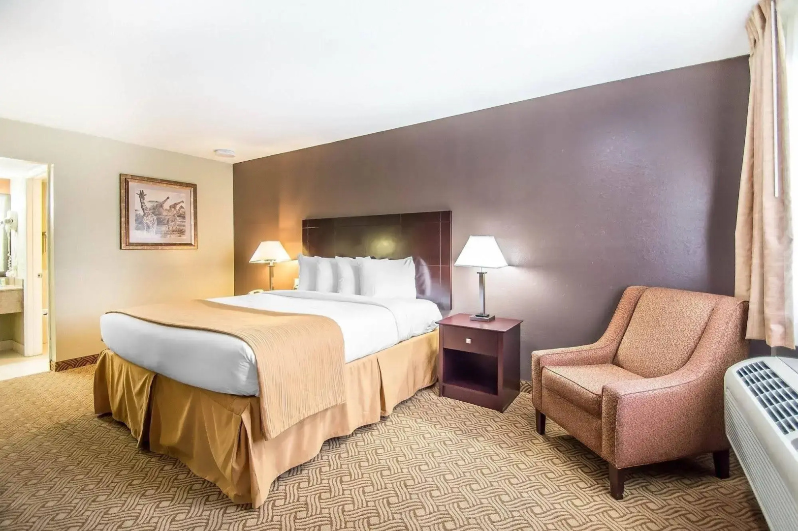Foto - Quality Inn & Suites By the Parks