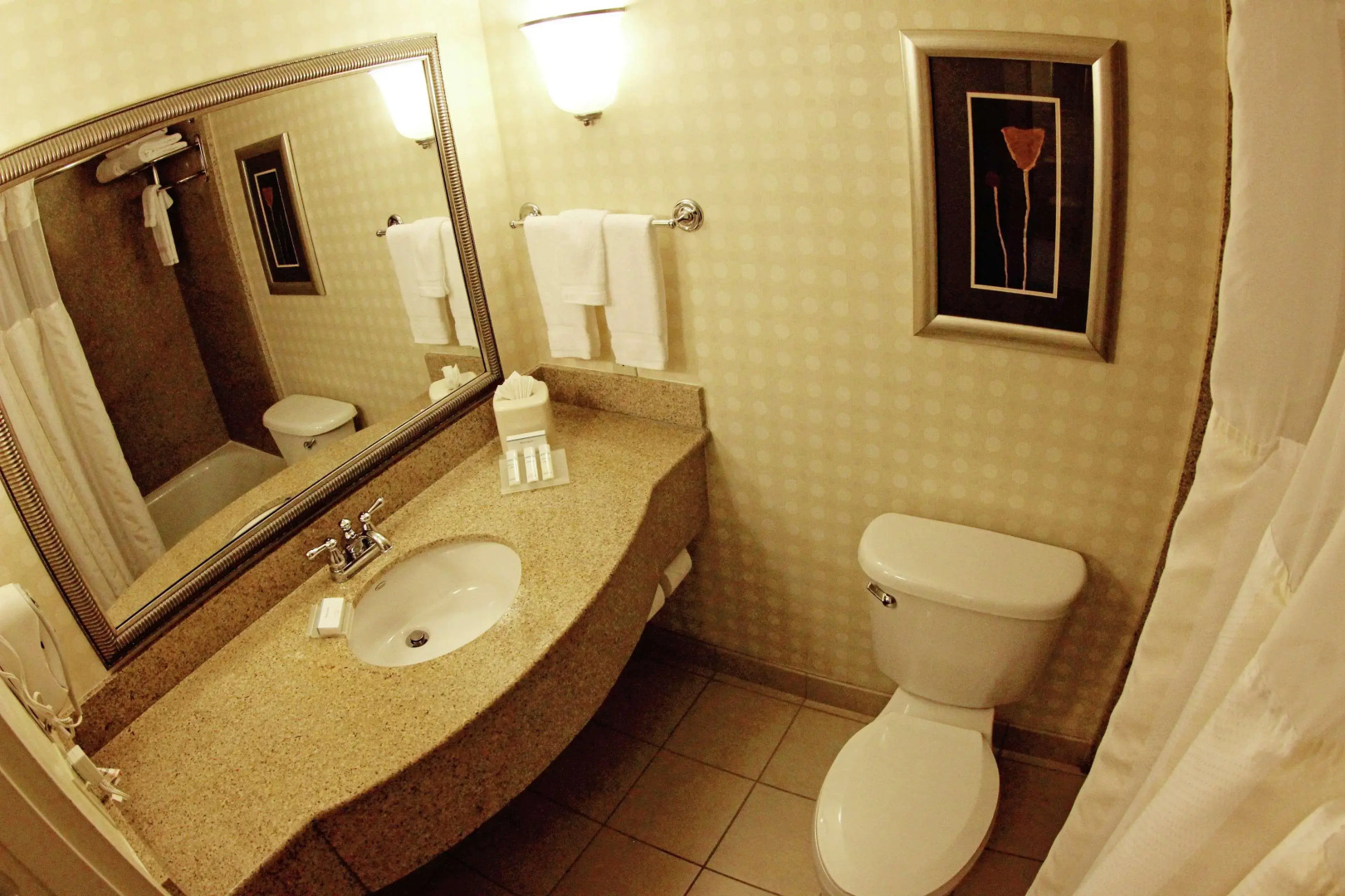 Photo - Hilton Garden Inn Jacksonville Orange Park