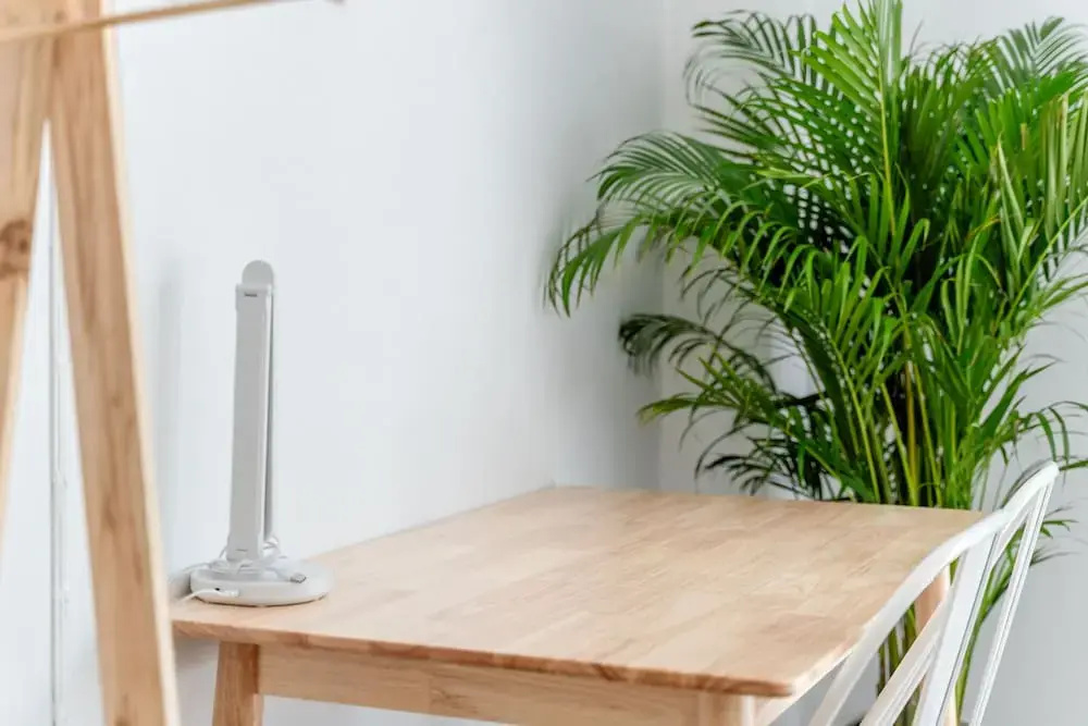 Foto - Socialer Coliving & Coworking Space