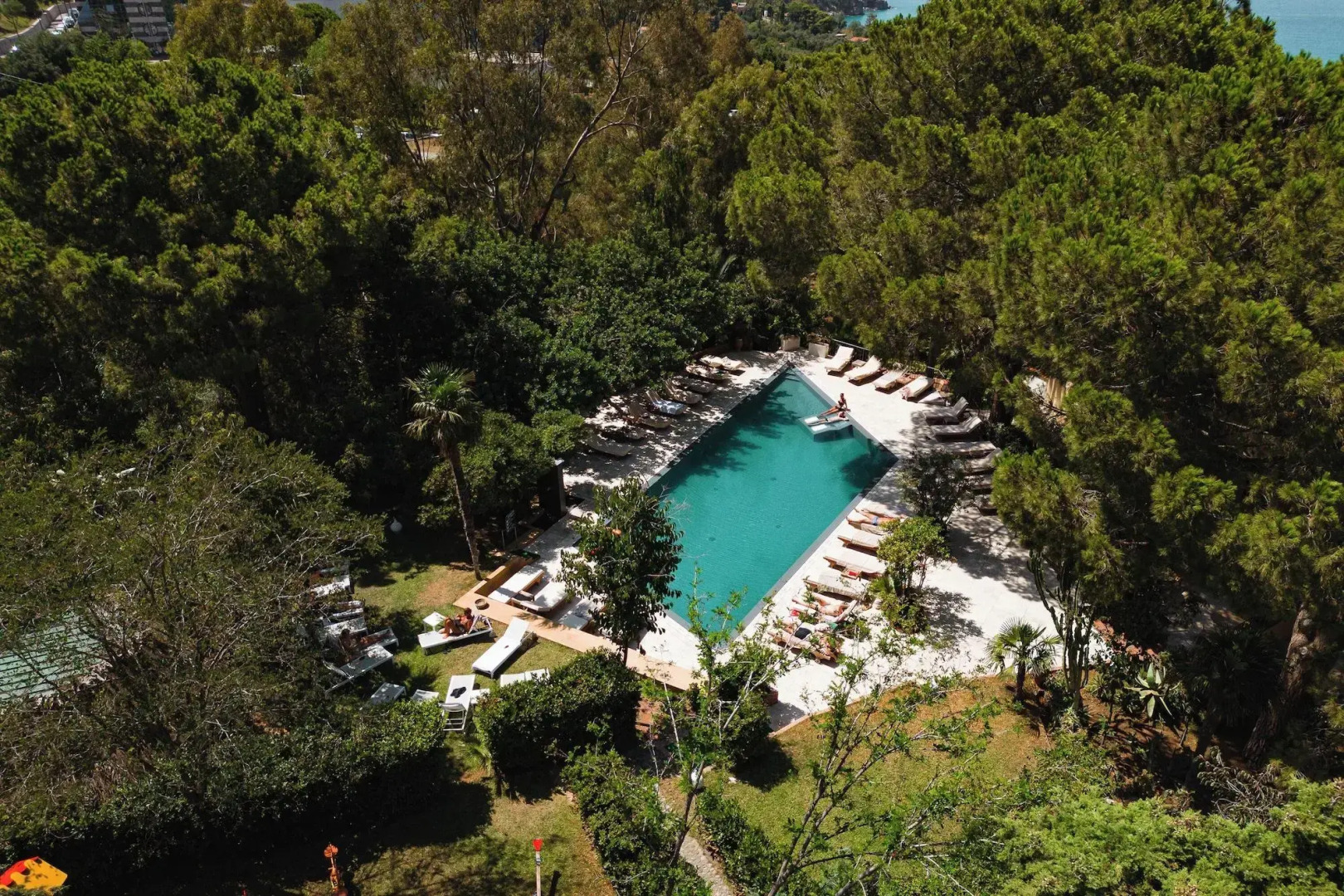 Foto - Alberi del Paradiso