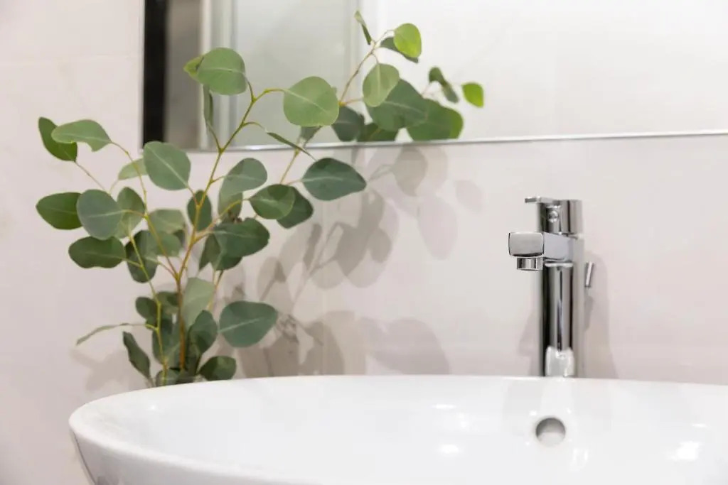 Photo - Giubbonari Suites