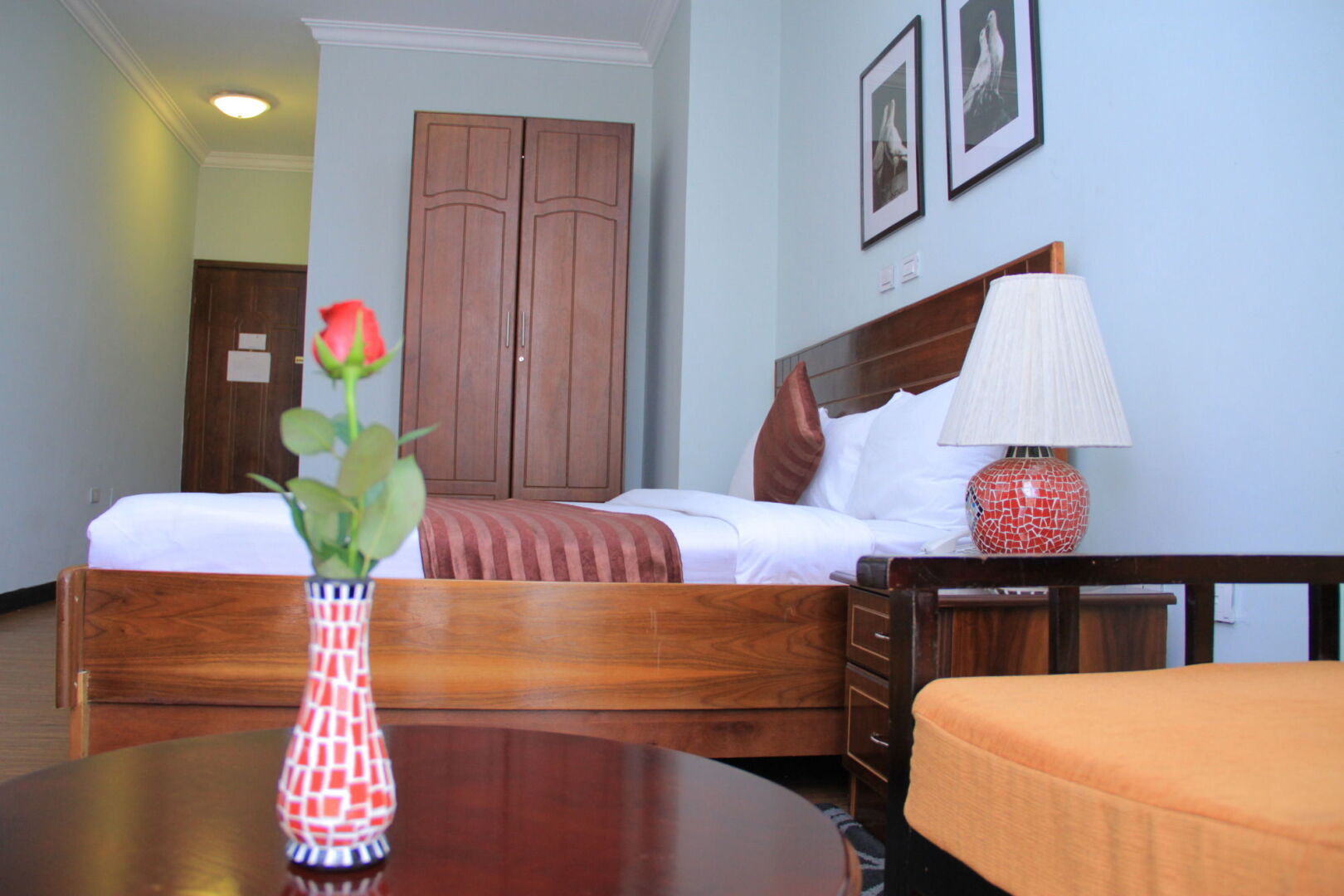 Foto - Hotel Lobelia