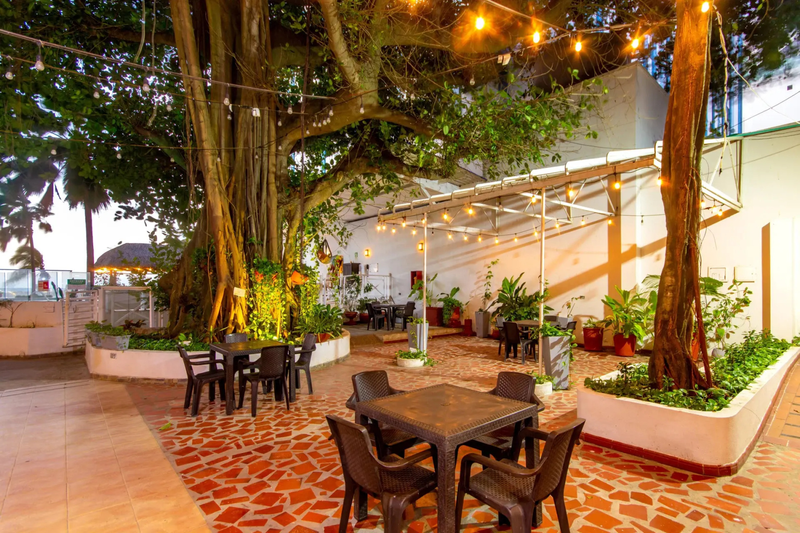 Photo - Hotel Playa Club