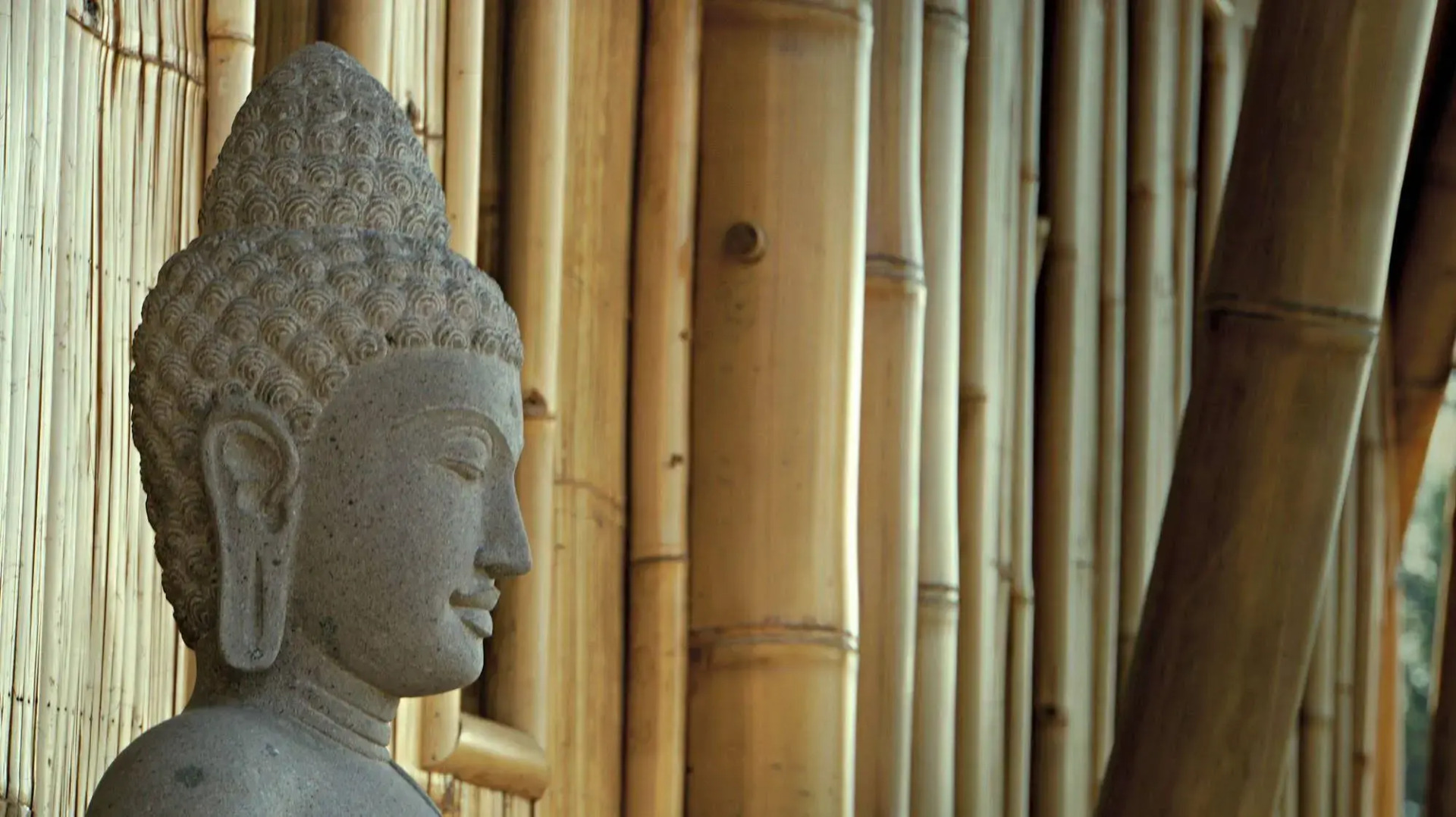 Photo - Samanvaya - Adults Only