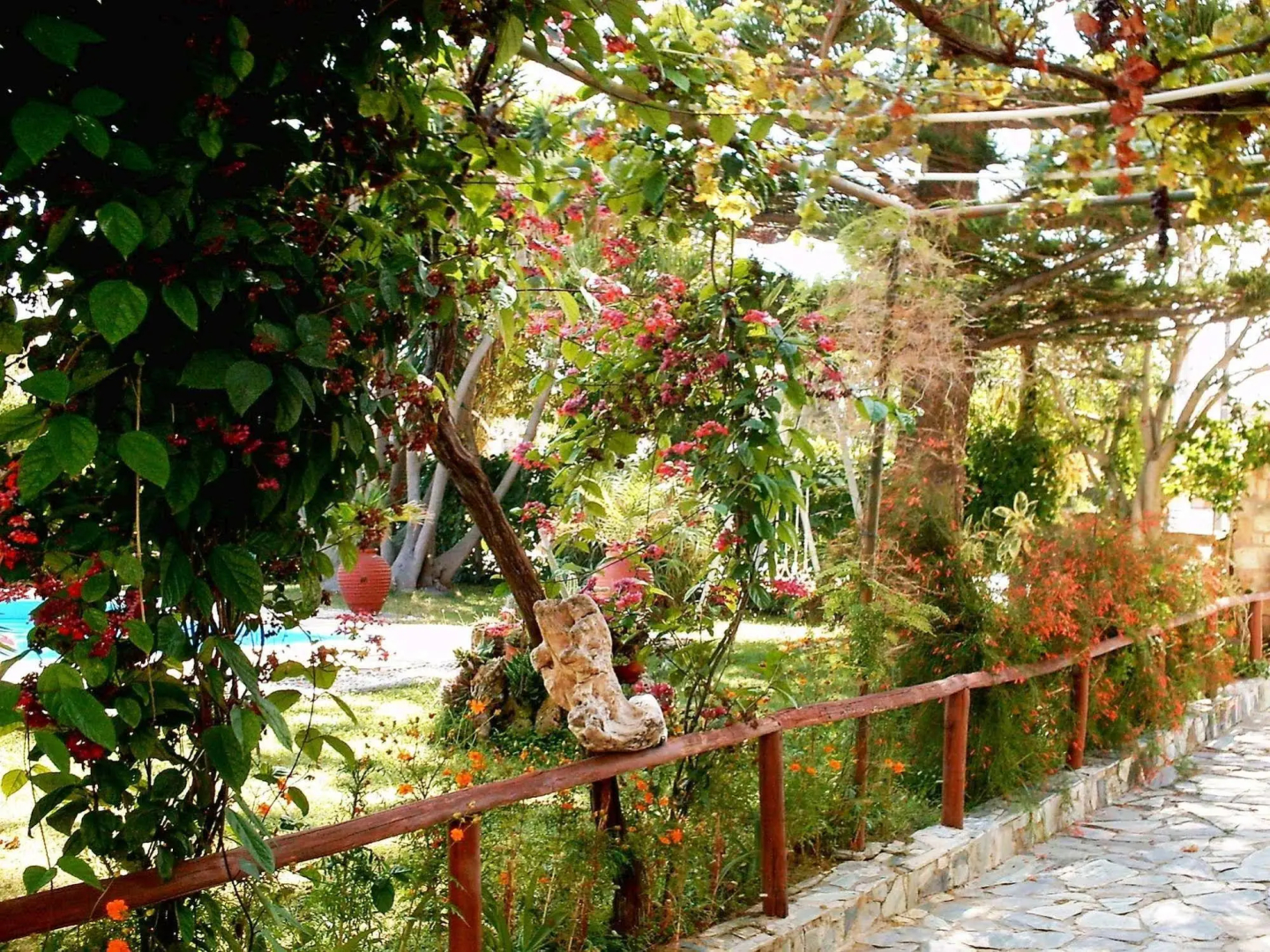 Photo - Summer Lodge