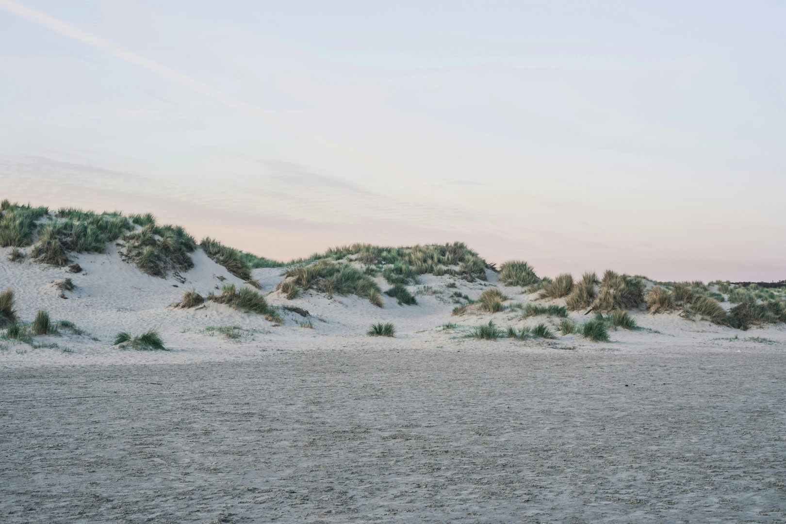 Foto - Leonardo Hotel IJmuiden Seaport Beach
